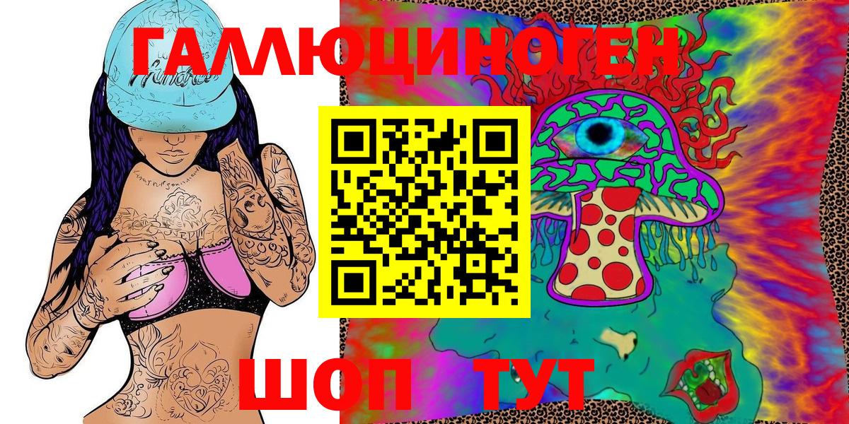 сколько стоит  Псилоцибиновые грибы Cubensis  Вход с VPN  Гусь-Хрустальный 